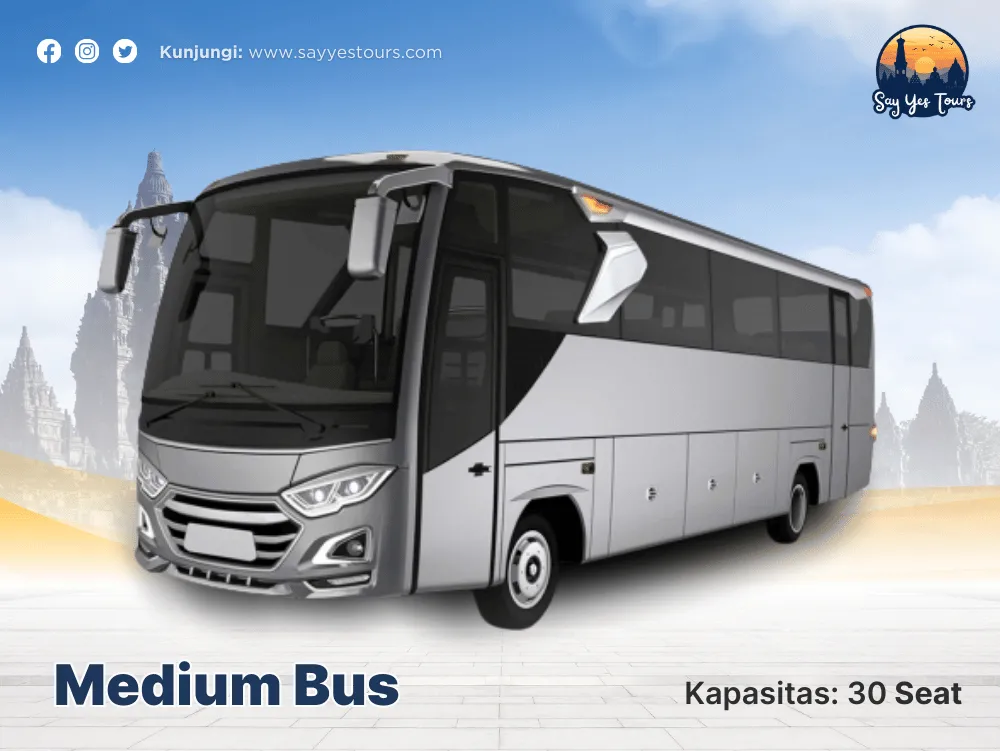 medium-bus-35.png