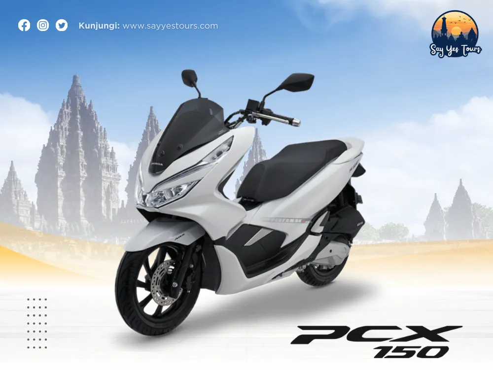 honda-pcx-9.png